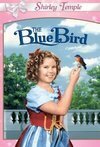 Subtitrare The Blue Bird (1940)