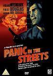 Subtitrare Panic in the Streets (1950)