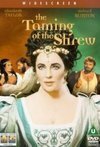 Subtitrare Taming of the Shrew, The (1967)