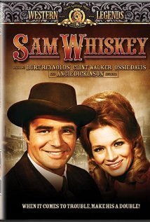 Subtitrare Sam Whiskey (1969)