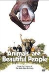 Subtitrare Animals Are Beautiful People (1974)