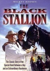 Subtitrare The Black Stallion (1979)