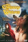 Subtitrare The Company of Wolves (1984)