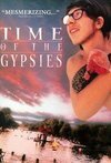 Subtitrare Dom za vesanje [Time of the gypsies] (1988)