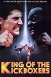 Subtitrare The King of the Kickboxers (1990)
