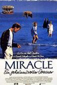 Subtitrare The Miracle (1991)