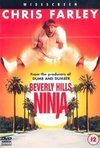 Subtitrare Beverly Hills Ninja (1997)
