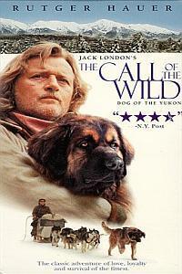 Subtitrare The Call of the Wild: Dog of the Yukon (1997)