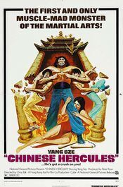 Subtitrare Chinese Hercules (Freedom Strikes a Blow) (1973)