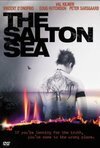 Subtitrare The Salton Sea (2002)