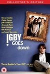 Subtitrare Igby Goes Down (2002)