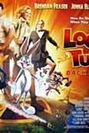 Subtitrare Looney Tunes (1940-1970)