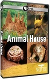 Subtitrare BBC - Natural World - Animal House (2011)