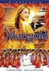 Subtitrare Marigold (2007)