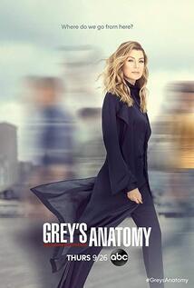 Subtitrare Grey's Anatomy - Sezoanele 1-20 (2005)