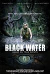 Subtitrare Black Water (2007)