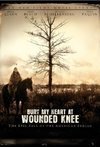 Subtitrare Bury My Heart at Wounded Knee (2007) (TV)