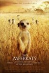 Subtitrare Meerkats, The (2008)