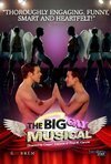 Subtitrare The Big Gay Musical (2009)