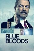Subtitrare Blue Bloods - Sezonul 5 (2014)