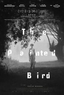 Subtitrare The Painted Bird (2019)