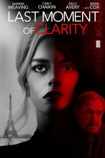 Subtitrare Last Moment of Clarity (2020)