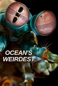 Subtitrare Ocean's Weirdest (TV Series 2022)
