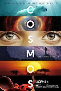 Subtitrare Cosmos: A SpaceTime Odyssey - Sezonul 1 (2014)