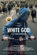 Subtitrare White God (Fehér isten) (2014)