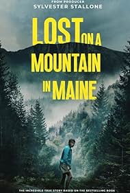 Subtitrare Lost on a Mountain in Maine (2024)