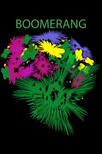 Subtitrare Boomerang (2024)
