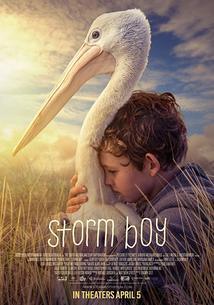 Subtitrare Storm Boy (2019)