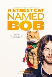 Subtitrare A Street Cat Named Bob (2016)