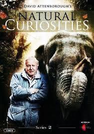 Subtitrare Attenboroughs Natural Curiosities - Sezonul 3 (2015)