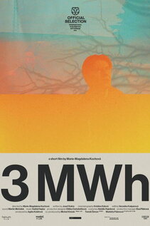 Subtitrare 3 MWh (3MWh) (2024)