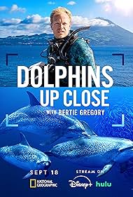 Subtitrare Dolphins Up Close with Bertie Gregory (TV Special 2025)