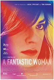 Subtitrare A Fantastic Woman (Una Mujer Fantástica) (2017)