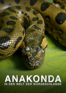 Subtitrare Anaconda: Silent Killer (Anakonda - In der Welt der Würgeschlange) (2014)