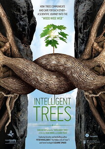 Subtitrare Intelligent Trees (2017)