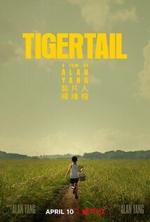 Subtitrare Tigertail (2020)